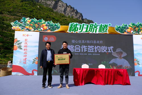 鄉村振興壟上行，秭歸臍橙齊開園——心橙科技助力產業振興