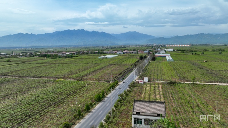 鄉路上，感受脈動中國——美麗鄉路服務提質，地標鮮果助力振興